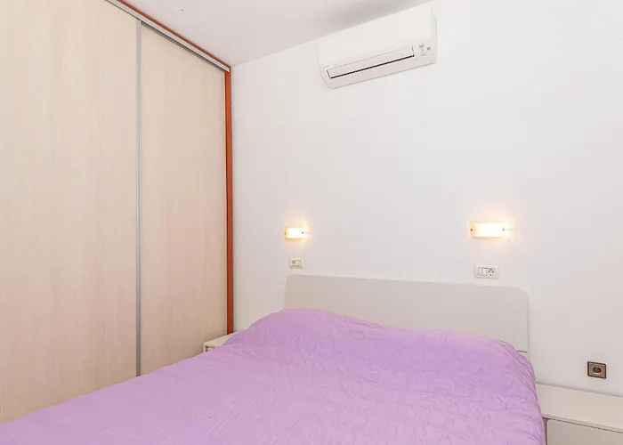 Augusta Senoe V * ヴォディツェ